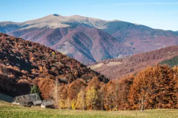 Аренда авто в Киеве - 15